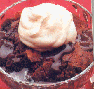 HOTFUDGEPUD0003_15708.gif (66997 bytes)